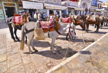 eşekler Hydra Yunanistan, taşıma