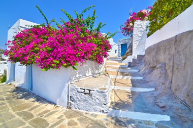 Kiklad mimari Apollonia Sifnos Yunanistan