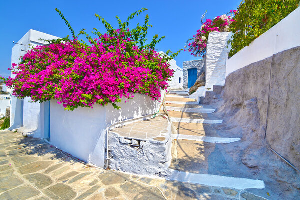 Cycladic architecture at Apollonia Sifnos Greece
