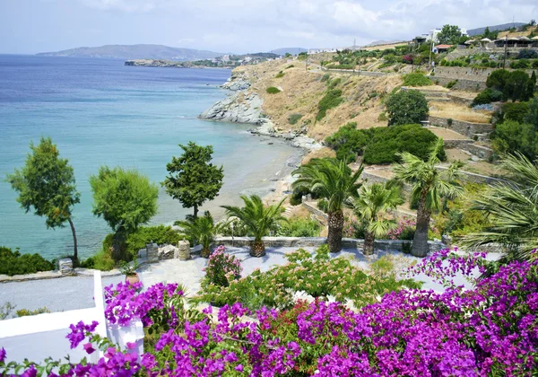Paesaggio dell 'isola di Andros Grecia — Foto Stock