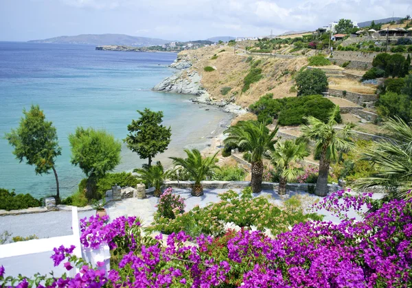 Landschaft der andros insel griechenland — Stockfoto