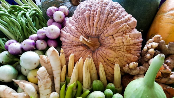 Набор овощей — стоковое фото