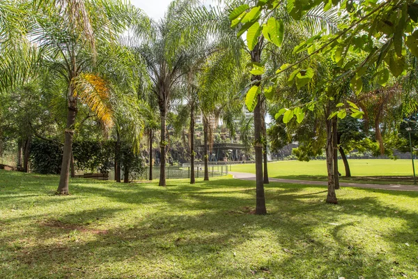 Parque da cidade de Ribeirão Preto, também conhecido como Dr. Luis Carlos Raya — Fotografia de Stock