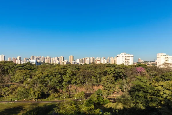 Park miejski Ribeirao Preto, aka Curupira Park — Zdjęcie stockowe