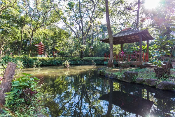 Japońskie ogrody w Ribeirao Preto city zoo Fabio Barreto. Sao — Zdjęcie stockowe