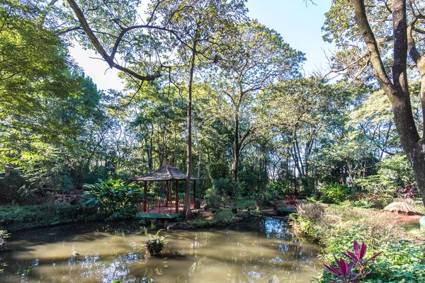 Japońskie ogrody w Ribeirao Preto city zoo Fabio Barreto. Sao — Zdjęcie stockowe