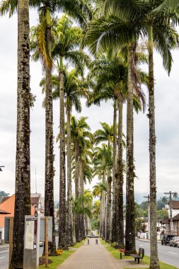 Alameda Duque de Caxias Street. Blumenau, Santa Catarina