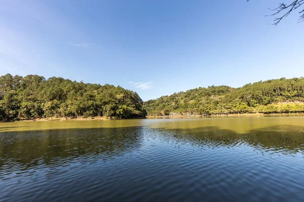 Malwee Park göl manzarası. Jaragua do Sul. Santa Catarina — Stok fotoğraf