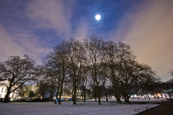 Zielony park w nocy w zimie. Londyn, Anglia. stycznia 2013. — Zdjęcie stockowe