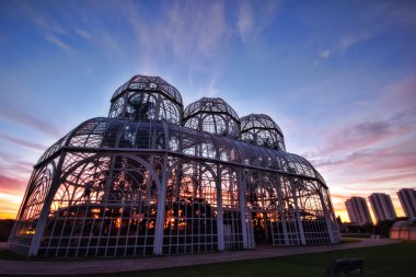 Bothanical Bahçe, Curitiba, Brezilya.
