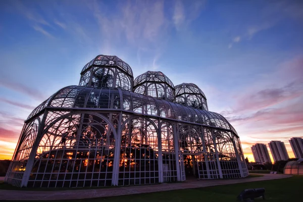 Jardín Botánico, Curitiba, Brasil . — Foto de Stock