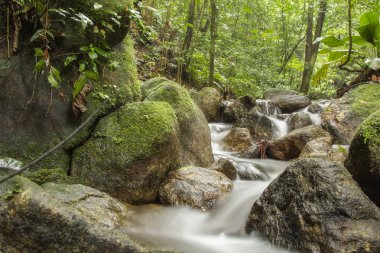 Kayaları, Atlantik ormanı akan nehir