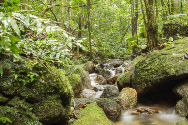 River flowing through the rocks, Atlantic Forest
