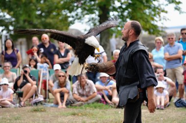 Fransa, 26 Ağustos 2015: Steller'ın deniz kartal Shinon Kalesi-uçuş kuş show sırasında