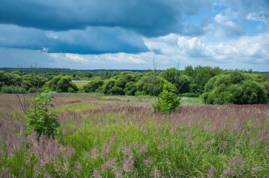 Rusya. Yerel açık alanlar.