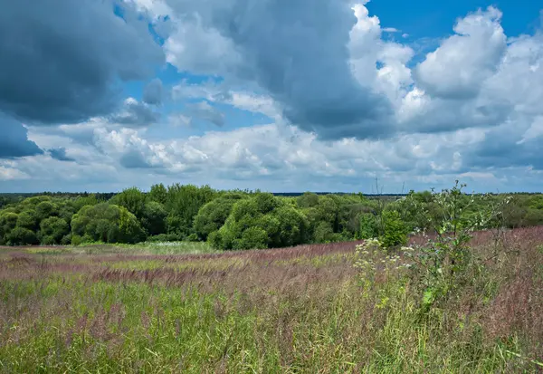 Rusya. Yerel açık alanlar.