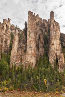 Rusya. Yakutya. Lena Pillars.