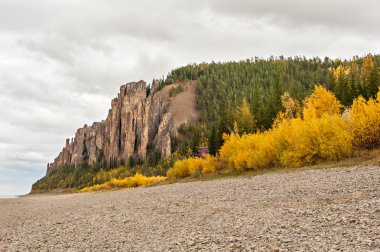 Rusya. Yakutya. Lena Pillars.