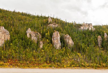 Rusya. Yakutya. Lena Pillars.