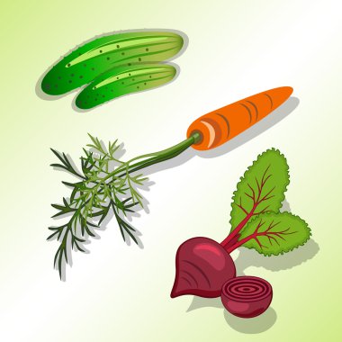 Food, vegetable set. Beet, carrot with tops, cucumber colored icon. Colorful silhouettes with shadow on light green background. Flat design. Vector isolated