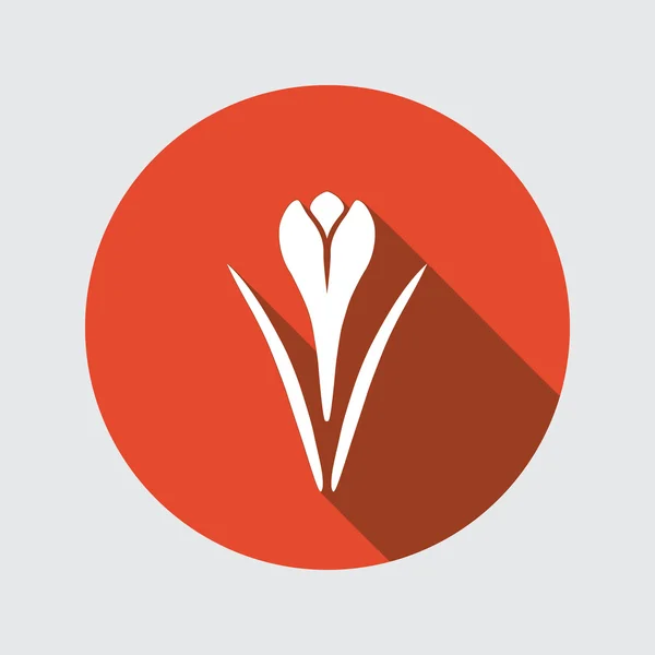 Spring flower icon. Crocus, Saffron, herbs. Floral, food symbol. Bud and leaves. Round circle flat icon with long shadow. Vector illustration