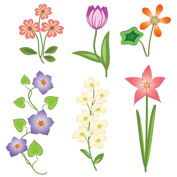 Set de flores. Tulipán, manzanilla margarita petunia lirio orquídea, cereza pájaro. Símbolos florales de colores con hojas. Vector aislado . — Archivo Imágenes Vectoriales