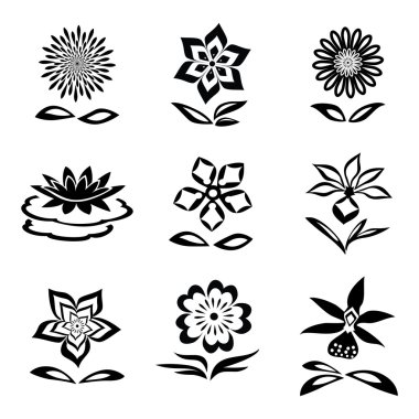 Flower set. Chamomile, orchid, water-lily. Black silhouettes on white background.  Isolated symbols of flowers and leaves. Vector