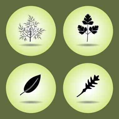 Food, herbs set. Parsley, laurel, rucola, dill icons. Black silhouette with shadow on light green background. Flat design. Vector isolated