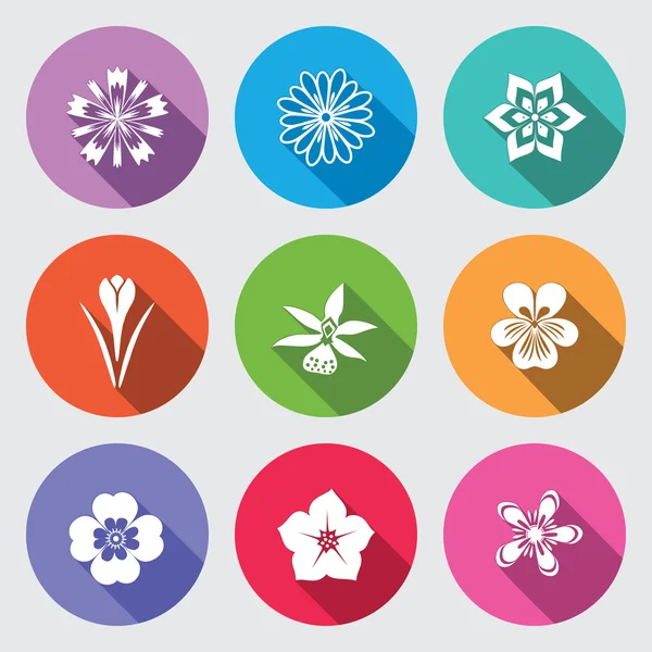 Botanisches Blumenset. Kamille, Gänseblümchen, Petunie, Chrysantheme, Orchidee, Vergissmeinnicht, Krokus, Safran, Kornblume. Blumen, Kräuter-Symbol. runde blaue flache Symbole mit langem Schatten. Vektor isoliert. — Stockvektor