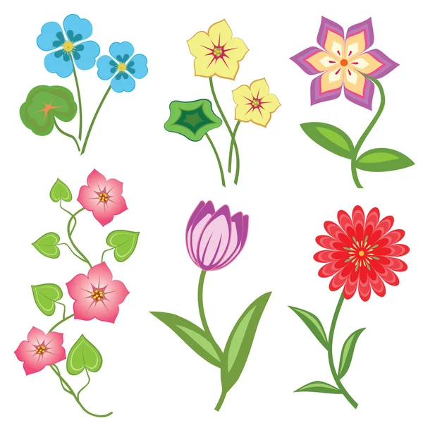 Flower set on white background. Camomile, orchid, chrysanthemum, daisy, tulip, bindweed. Colored floral symbols with leaves. Vector isolated
