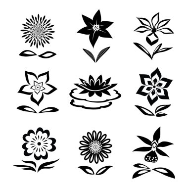 Flower set. Chamomile, lily, orchid, water-lily. Black silhouettes on white background.  Isolated symbols of flowers and leaves. Vector