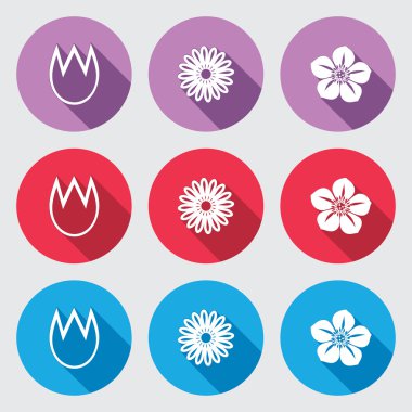 Flower icon set. Tulip, camomile daisy, orchid. Floral symbol. White sign on round button with long shadow. Blue, red, lilac colored. Vector isolated