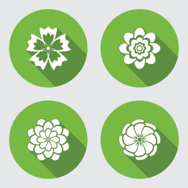 Flower icons set. Chamomile, daisy, chrysanthemum, cornflower. Floral symbol. Round green flat icon with long shadow. Vector