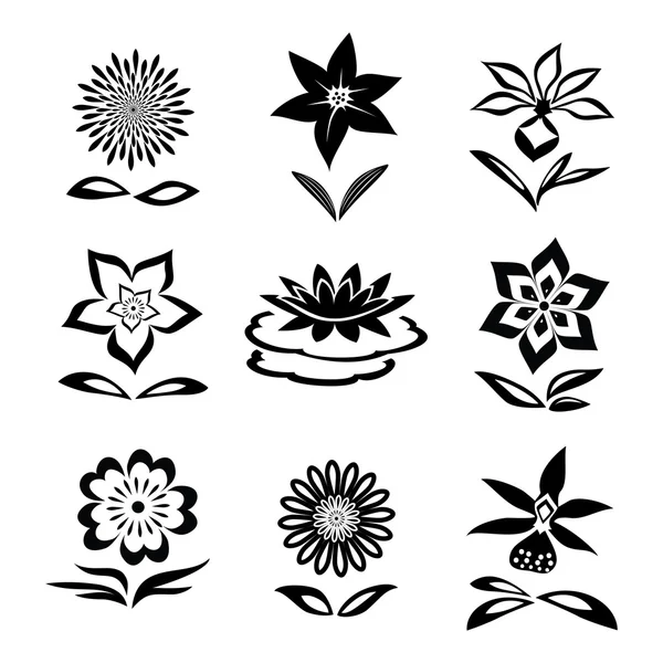 Set de flores. Manzanilla, lirio, orquídea, nenúfar. Siluetas negras sobre fondo blanco. Símbolos aislados de flores y hojas. Vector — Archivo Imágenes Vectoriales