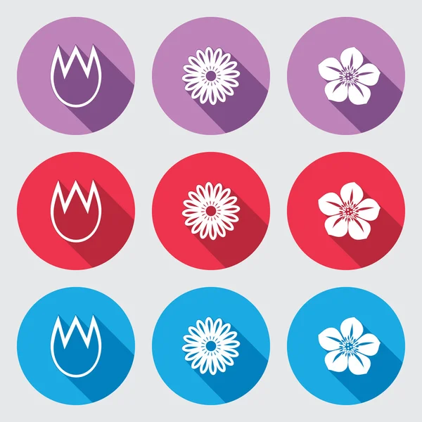 Flower icon set. Tulip, camomile daisy, orchid. Floral symbol. White sign on round button with long shadow. Blue, red, lilac colored. Vector isolated — Stock Vector