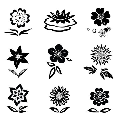 Flower set. Chamomile, lily, orchid, water-lily. Black silhouettes on white background.  Isolated symbols of flowers and leaves. Vector