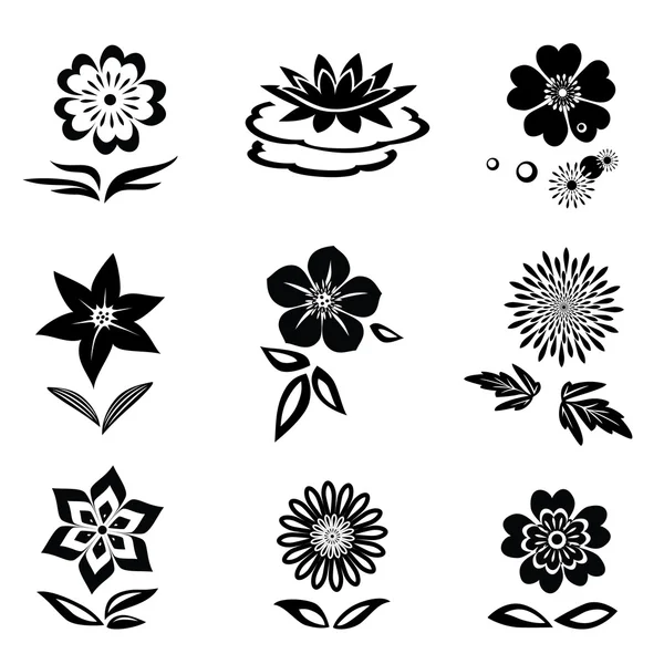 Flower set. Chamomile, lily, orchid, water-lily. Black silhouettes on white background.  Isolated symbols of flowers and leaves. Vector