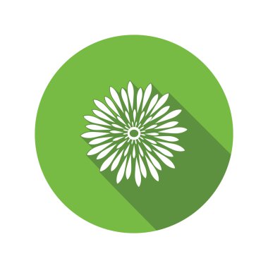 Chrysanthemum flower icon. Floral symbol. Round green flat icon with long shadow. Vector isolated