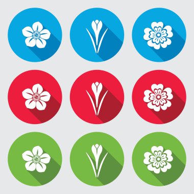 Flower icon set. Saffron, Hellebore, Caltha, Primula. Floral, herbs, cuisine, symbol. Round signs with long shadow. Vector