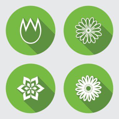 Flower 4 icons set. Chamomile, tulip, daisy, orchid. Floral symbol. Round green flat icon with long shadow. Vector