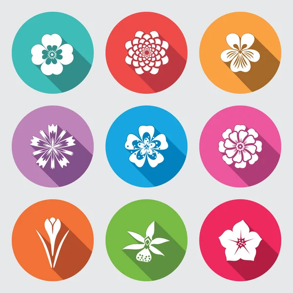 Botany flower set. Camomile, daisy, petunia, chrysanthemum, orchid, crocus, saffron, cornflower, dahlia, aster, gowan. Floral, herbs symbol. Round colorful flat icons with long shadow. Vector — Stock Vector