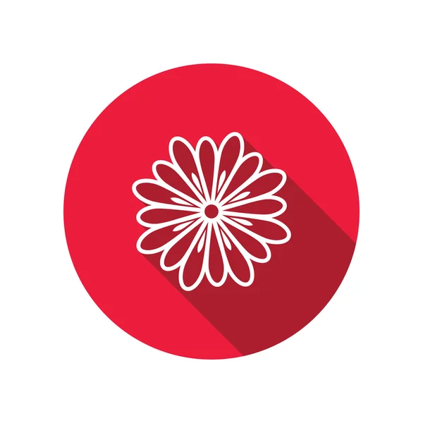 Chamomile, chrysanthemum, daisy flower icons. Floral symbol. Round circle flat icon with long shadow. Vector — Διανυσματικό Αρχείο