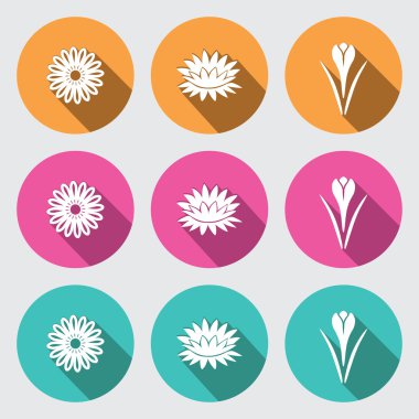 Flower icon set. Camomile, daisy, lily, water-lily, crocus, saffron. Floral symbol. White sign on round turquoise, orange, rose buttons with long shadow. Vector