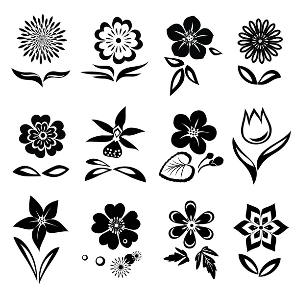 Flores y hojas iconos conjunto. Nasturtium, manzanilla, primula, anémona, tulipán, gowan, orquídea, margarita, petunia. Signos negros. Símbolo floral. Vector — Vector de stock