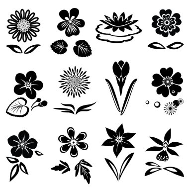 Flower set. Nasturtium primula lily viola anemone crocus gowan dog-daisy orchid. Spring and summer flowers. Floral black symbols with leaves. May be used in cuisine. Vector