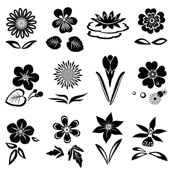 Flower set. Nasturtium primula lily viola anemone crocus gowan dog-daisy orchid. Spring and summer flowers. Floral black symbols with leaves. May be used in cuisine. Vector