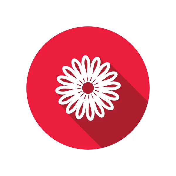 Flower icons. Chamomile, chrysanthemum, daisy. Floral symbol. Round red circle flat icon with long shadow. Vector — Stockvector