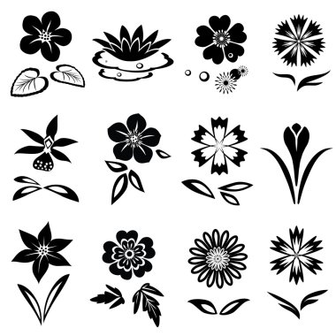 Nasturtium, primula, lily, viola, anemone, crocus, cornflower, blue poppy, orchid, flower set. Spring and summer flowers. Floral black symbols with leaves. May be used in cuisine. Vector isolated.