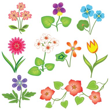 Flower set. Nasturtium, primula, viola, anemone, tulip, gowan, dog-daisy, petunia. Spring flowers. Floral symbols with leaves. Color icons. May be used in cuisine. Vector isolated.