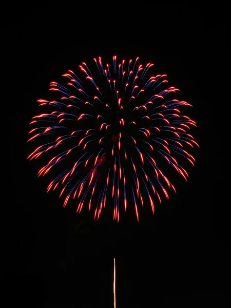 New Year's vuurwerk — Stockfoto